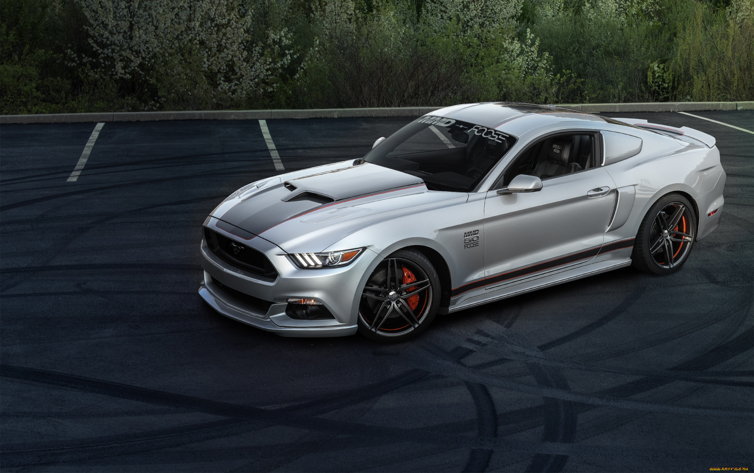 , mustang